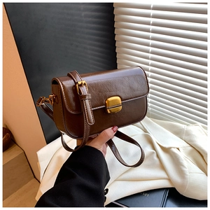 Detail of vintage dark brown crossbody bag with a polished finish and gold square clasp