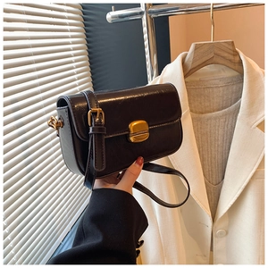 Close-up of black retro square bag with golden rectangular clasp and polished leather