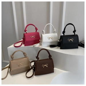 Borse a mano minimaliste in cinque colori con fibbie a fiocco su espositori