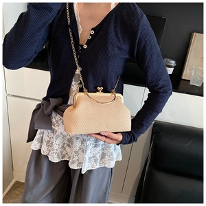 Close-up of beige woven texture shell bag with gold clasp and elegant chain strap