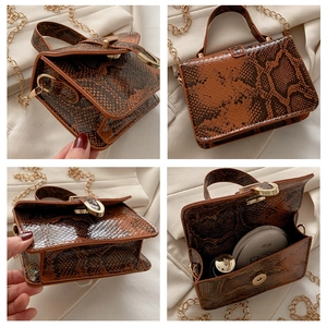 Detailed views of brown snakeskin handbag with golden chain and interior storage