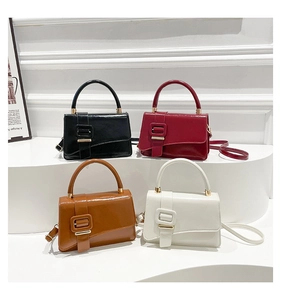 Minimalist square mini handbags in black, burgundy, brown and white with large buckles