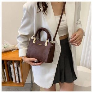 Brown crocodile texture handbag worn by model showing trendy crossbody chain bag style