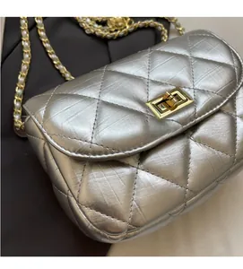 Detail view of the silver quilted texture and gold metal chain strap on this mini bag