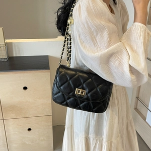 Mini quilted black crossbody bag with gold chain strap and twist lock for women