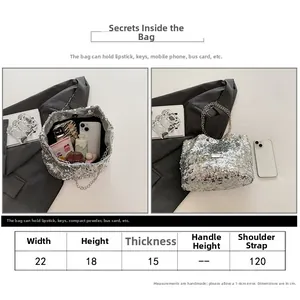 Detailed size guide for silver sequin bucket bag with interior capacity info