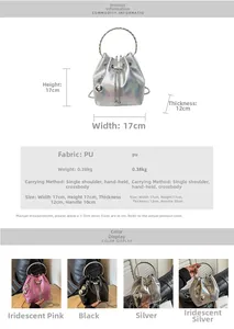 Detailed chart showing metallic bucket bag dimensions 17x17x12cm with metal handles