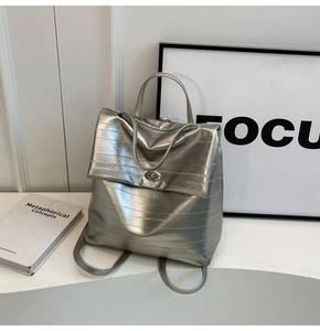 Detailed close-up of the silver metallic texture and stylish buckle on a travel backpack