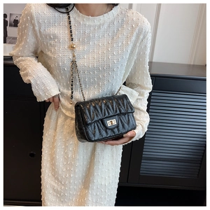 Close-up of black pleated leather bag with gold rectangular turn-lock and chain strap