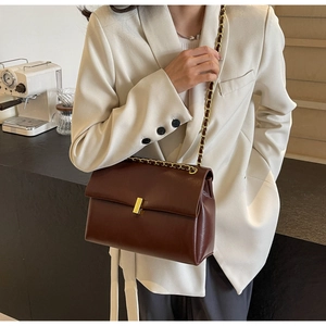 Detail of a dark brown leather handbag with a gold metal clasp and chain shoulder strap