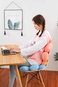 Juego de cojines ergonómicos de margarita con asiento azul y soporte lumbar rosa