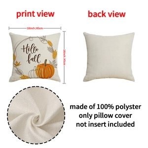 Harvest pumpkin 18x18 inch polyester throw pillow cover with Hello Fall prints