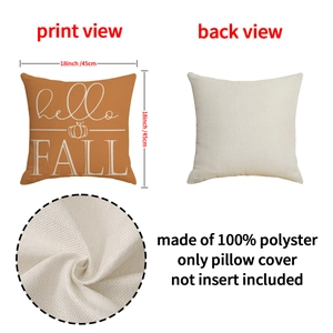 Orange Pumpkin Fall Decor Linen Pillow Cover 18x18 with Hello Fall Print and Plain Back