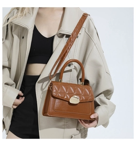Close-up of brown vintage bag with quilted patterns, crocodile texture, and gold buckle