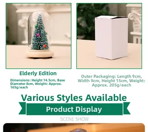 Mini lighted Christmas tree in glass dome with wood base and packaging box details