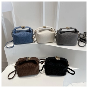 Minimalist leopard pattern crossbody handbag with golden metal lock in five colors