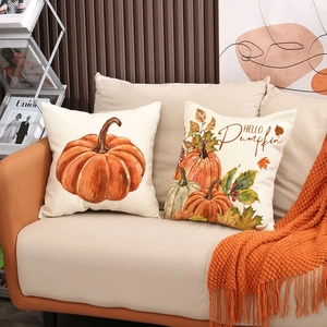 Set of 2 fall pumpkin decorative pillow covers with Hello Pumpkin watercolor design