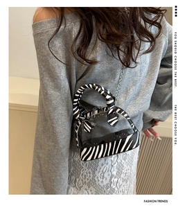 Detail of zebra pattern trim and silver chain on transparent PVC crossbody shell bag