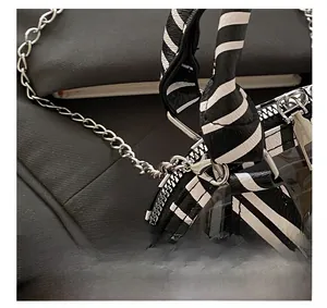 Detail showing silver metal lobster clasp and striped woven strap on the transparent bag