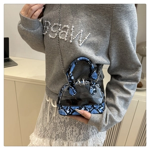 Detail of transparent PVC mini bag featuring blue snake-print trim and silver chain