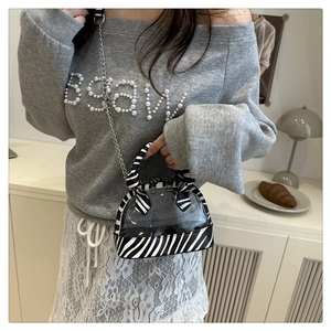 Close-up of zebra pattern trim and silver chain strap on a transparent shell bag