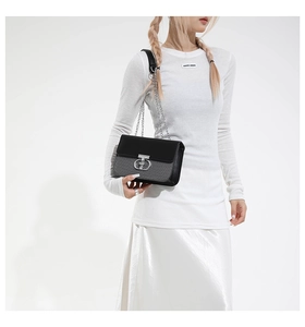 Detail view of contrast chain bag with silver interlocking clasp on a white background
