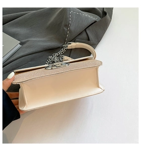 Close-up of cream crossbody bag featuring lizard texture flap and silver chain strap