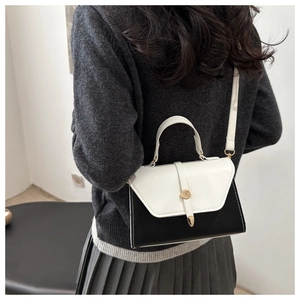Detail view of monochrome crossbody bag with elegant gold metal buckle and sleek top handle