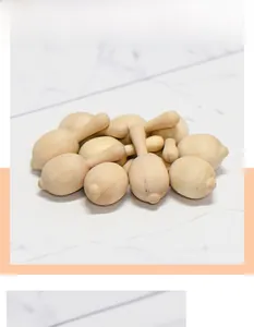 Close-up of unfinished wooden mushroom toys for kids DIY painting and coordination