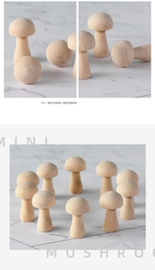Detailed macro view showing natural wood grain and textures of DIY mini mushroom sets