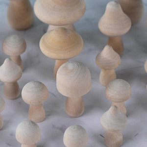 Ensemble de champignons en bois DIY aux formes variées pour décoration d'intérieur