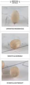 Macro details of smooth unfinished solid wood bird eggs for DIY painting crafts