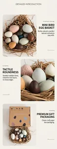 Set of 12 colorful wooden egg models with matte finish and kraft paper box packaging
