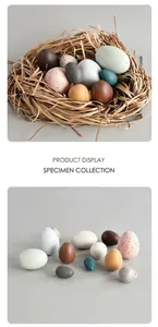 Detail of colorful wooden bird eggs in a decorative nest for home and office stress relief