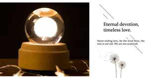 Close-up of dandelion crystal ball lamp with polished wooden base and warm lighting