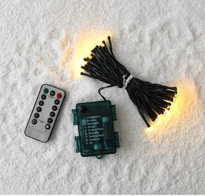 Detail of LED string lights with battery box, remote control and 9 lighting mode options