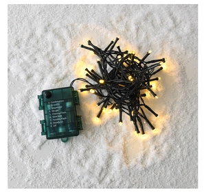Detail of waterproof battery box with 9 lighting modes and LED string lights on snow