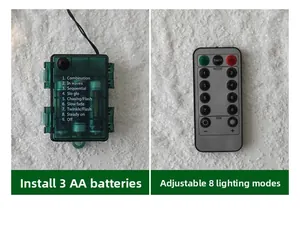 Outdoor LED light string controller with battery box and remote for 8 lighting modes