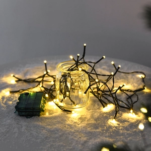 Outdoor Christmas LED string lights with warm white beads and green battery control box