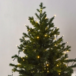 Outdoor Christmas tree with warm white LED string lights and realistic green needles