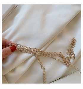 Nahaufnahme des eleganten goldenen Kettengurts einer Damen-Mini-Umhängetasche