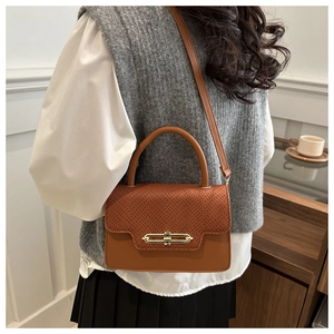 Brown retro crossbody bag with snake pattern flap and gold clasp shown on a model