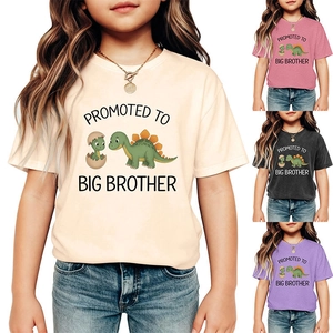 Detail showing various colors of the Promoted to Big Brother dinosaur t-shirt