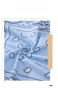 Detail of light blue paisley bandana fabric showing smooth texture and intricate pattern