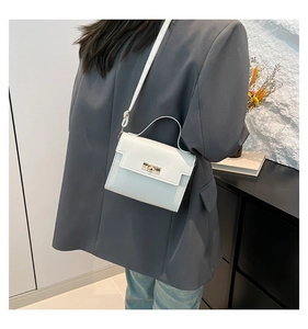 Close-up of white mini Kelly handbag with gold twist lock and lychee leather texture