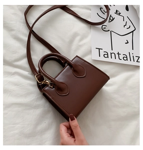 Detailed view of deep brown mini square handbag with cylindrical handles and gold hardware