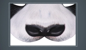 Detailed close-up of 3D digital panda nose print on soft EVA foam party mask fabric