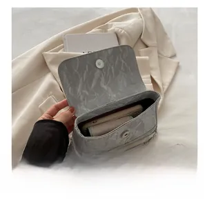 Detailed interior of light grey crossbody bag showing daily storage capacity and chain