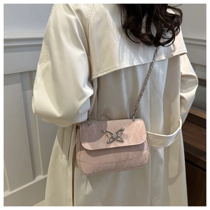 Detail of light pink crossbody bag with silver butterfly clasp and chain strap on coat