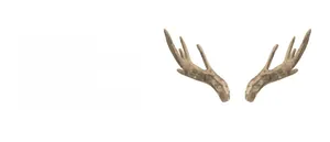 Detailed close-up showing the intricate carved wood-like texture on antler-shaped earrings